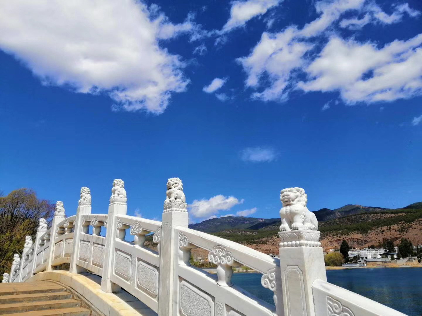 麗江會(huì )議會(huì )展