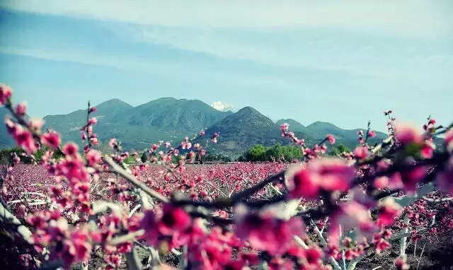 麗江戶(hù)外拓展訓練基地