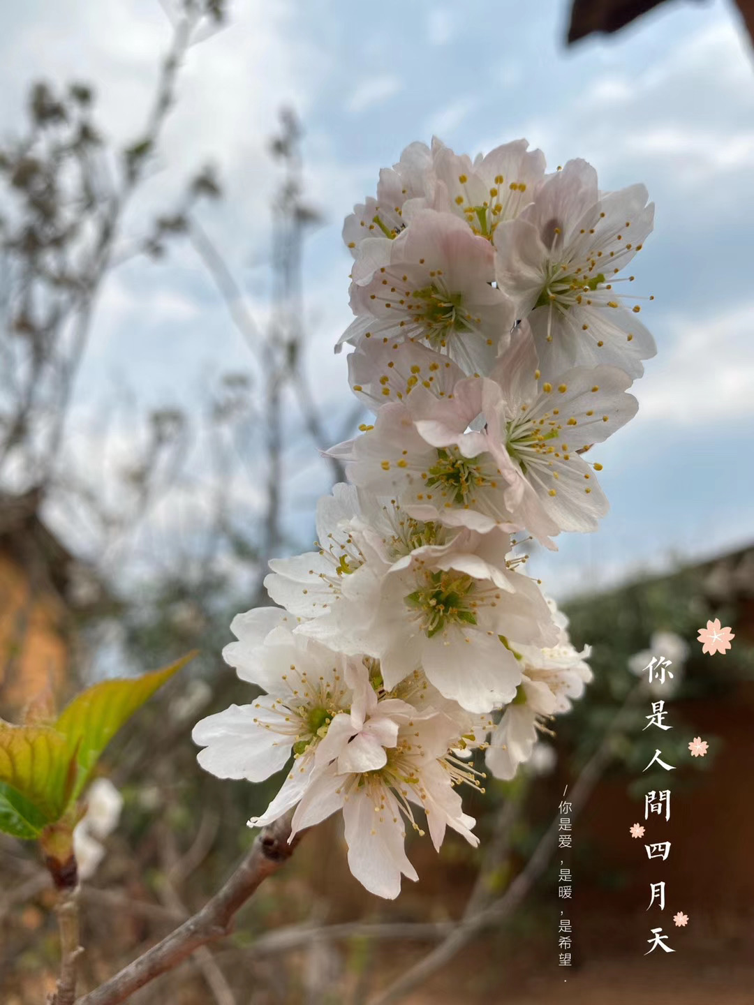 麗江戶(hù)外拓展訓練基地
