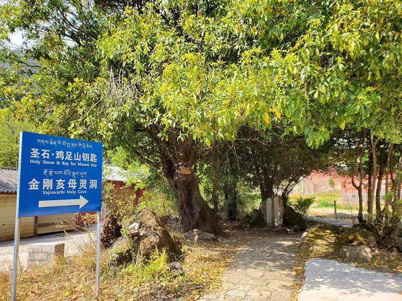 麗江文筆峰徒步線(xiàn)路推薦
