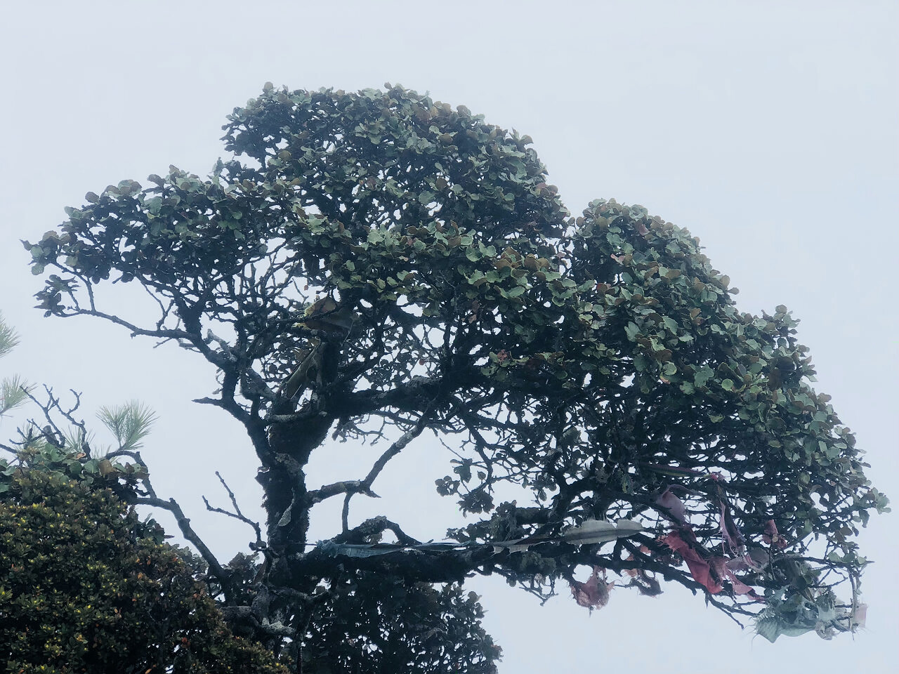 麗江文筆峰徒步線(xiàn)路推薦