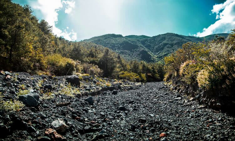 麗江茶馬古道文海徒步路線(xiàn)