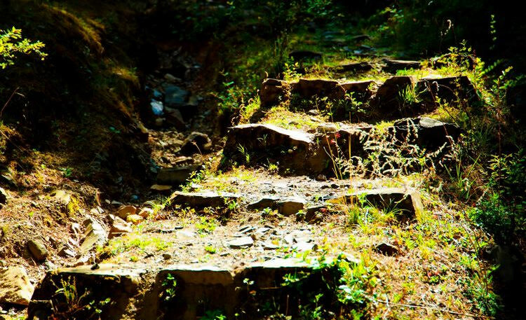 麗江茶馬古道文海徒步路線(xiàn)
