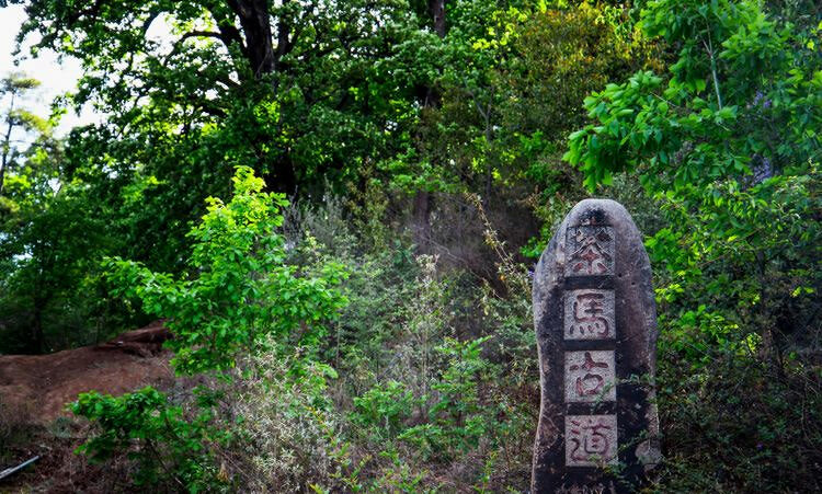 麗江茶馬古道文海徒步路線(xiàn)