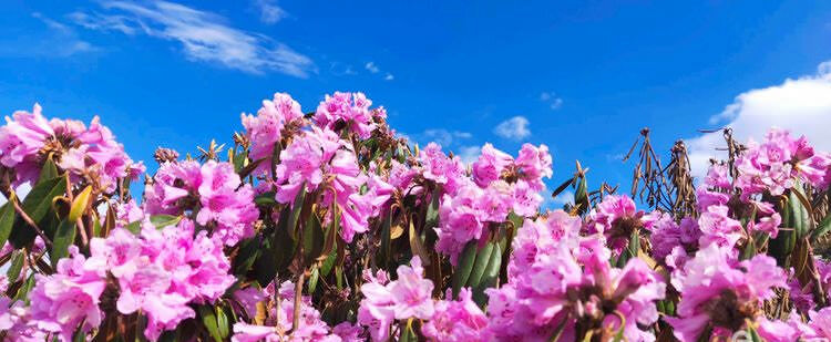 麗江石頭鄉桃花村戶(hù)外徒步路線(xiàn)