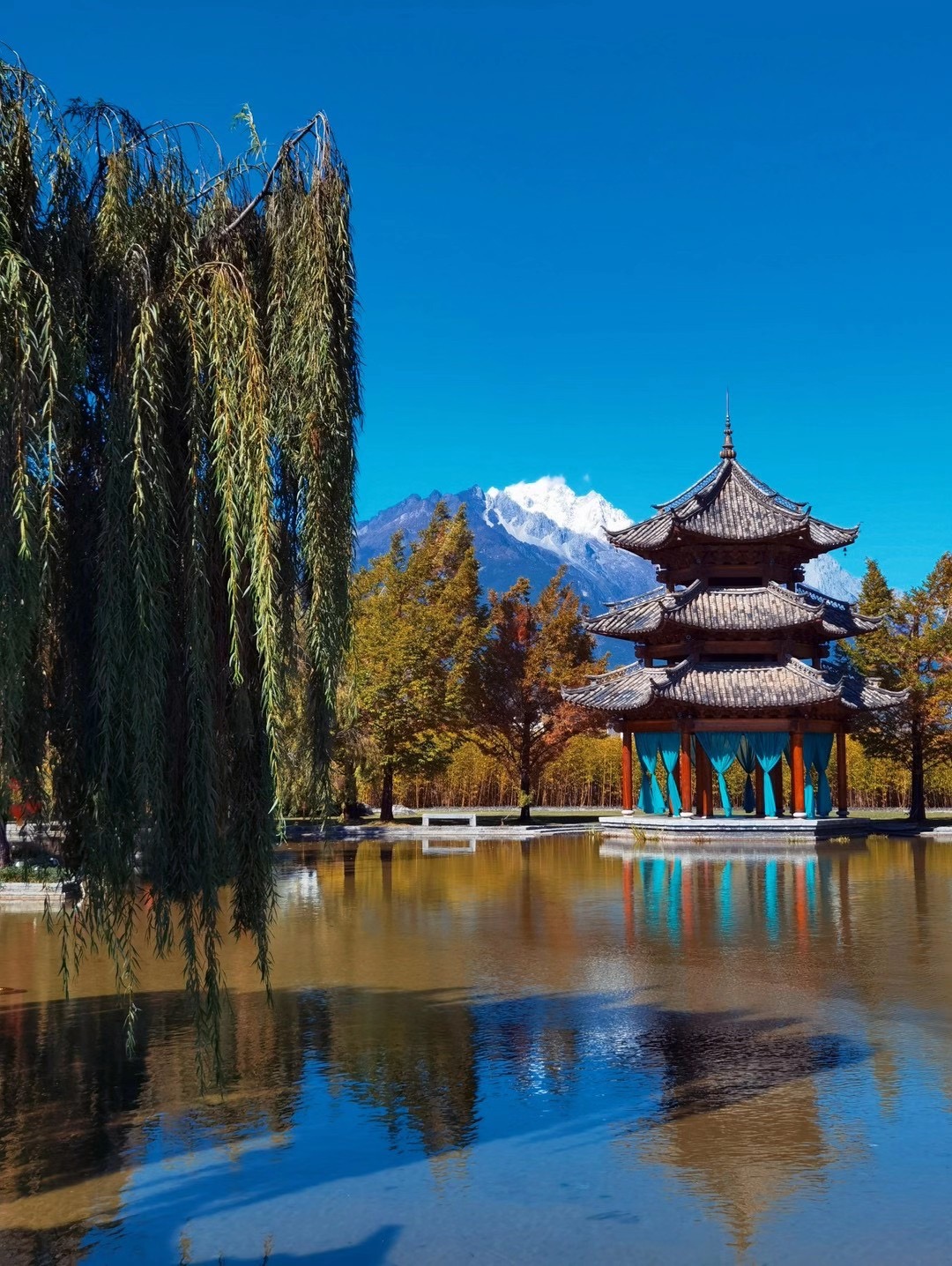 麗江黑龍潭公園
