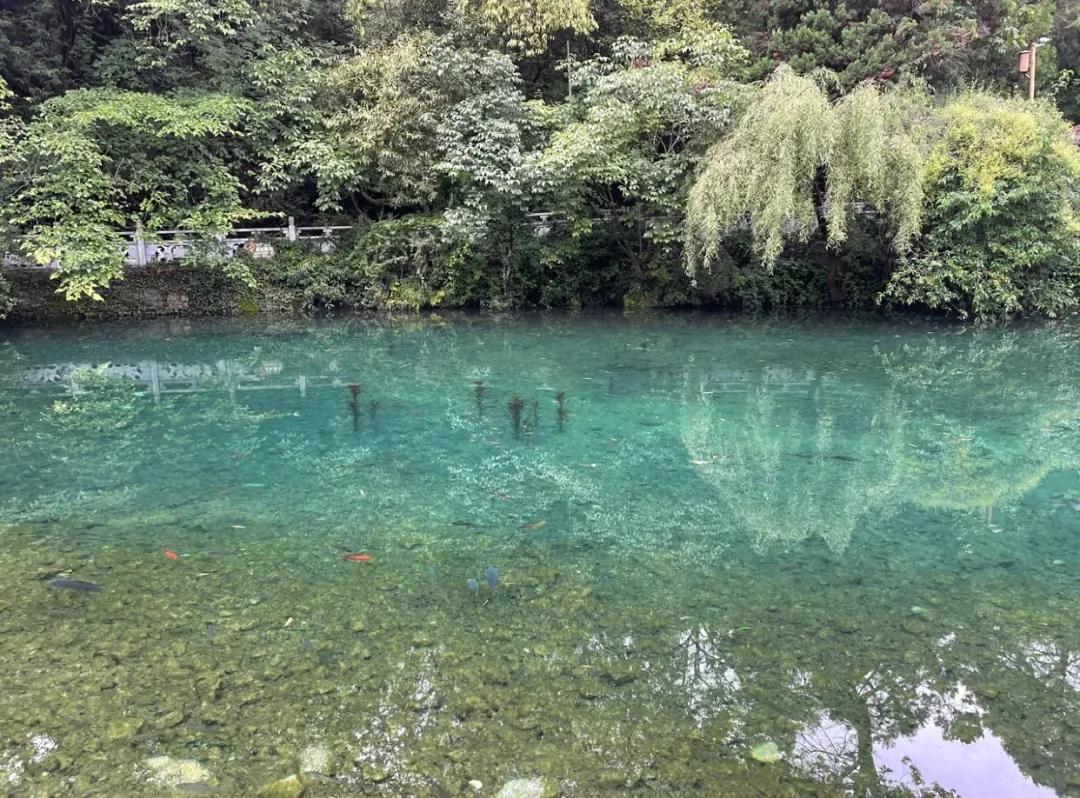 麗江束河古鎮